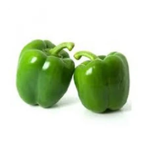 FRESH BELL PEPPER VIETNAM +84 914 917 599