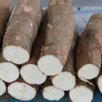 FRESH CASSAVA