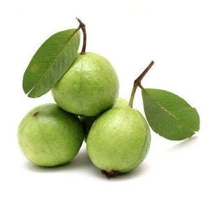 Fresh Dried Guava Fruit Juice Powder Extract From Fresh Guava
