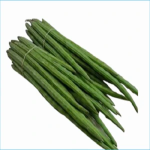Fresh Drumstick Vegetable Available