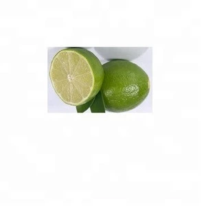 Fresh Green Lime Seedless and SEEDLESS LIME,PERSIAN LIME
