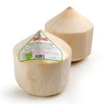 Fresh Mature Coconut,FRESH GREEN COCNUTS