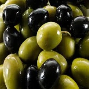 Fresh Olive for sale