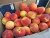 Import Fresh Peaches from South Africa
