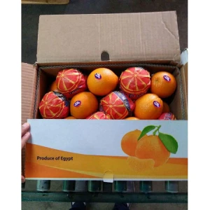 Fresh Quality South African Navel Oranges