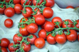 Fresh Round Quality Iron Red Tomatoes For Sale