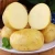 Import Fresh yellow potato supplier in china with cheap price from China