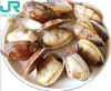 frozen cooked short necked surf clam meat pacific ocean best taste shellfish