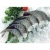 Import Frozen white vannamei shrimp delicious seafood shrimps frozen king prawns from China