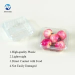 Fruits & Vegetables Supermarket Use  Clear Plastic Clamshell Fruits Box Container Fruit Plastic Box Factory Direct Sale