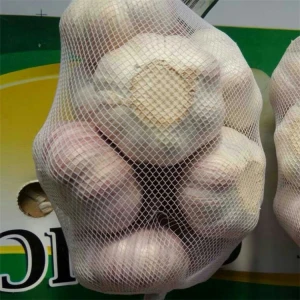 Garlic Price in China Fresh Normal White Style red garlic 10 kg packaging for sale