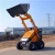 Import gasoline skid steer Forklift from China