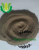 Glutamic residue Mycoprotein with lower price for chicken feed
