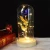 Import Gold plated Rose With LED Light In Glass Dome Beauty And The Beast Flowers For Wedding Party Mother&#039;s Day Gift from China