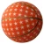 Import Good Quality Factory Logo Printed Size 7 Rubber Junior Basketball Basket Ball from China