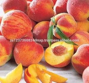 GOOD QUALITY FRESH PEACHES /High Quality Fresh Wild Peach With Sweet And Honey Flavor