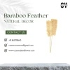 Good Quality Natural Beautiful Bamboo Feather Grass For Dried Flower Decoration