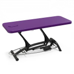 GoodWill Physical Therapy Equipments Physical Therapy Bed Physiotherapy Massage Table