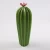 Import green plant ornamental cactus ceramics with flower from China