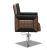 Import Hairdressing salon styling chairs salon beautiful chairs barber chairs for sale F305B from China