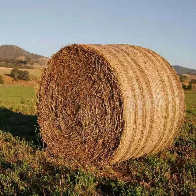 Hay and Straw Baling Machine/ Grass Baler/Mini Round Hay Baler for Sale