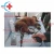 Import HC-R032 Veterinary Doppler Blood Pressure /pet doppler ambulatory blood pressure equipment for animals from China