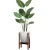 Import High Quality Flower Stand Bamboo Planter Pot Stand &amp; floor plant stand from China