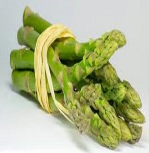 High Quality Fresh Asparagus for Sale