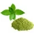 Import High Quality Fresh Mint Leaves Powder from India