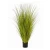 Import High quality nearly natural reed grass artificial grass bonsai from China