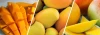 Highly Demanded Fresh Indian Mango Available at Low Market Price