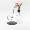 Home Decor Glass Light  Hanging Bulb Vase For Air Plant Terrarium