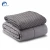 Import Home use cotton quilted cheap soft autism minky weighted blanket with duvet cover from China