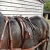 Import Horse Driving Harness Set with Soft Padded from Pakistan