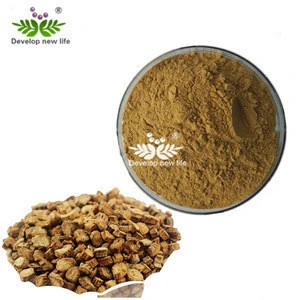 Hot Quality Fresh Burdock Root, Burdock Root Powder, Burdock Root Extract