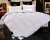Import Hot sale custom thickening solid duvet quilt core duvet sheet goose down quilt from China