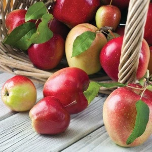 Hot Sale FUJI Apple Organic Fresh FUJI Apple From Yantai with Cheap Price