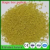 Hot Sale Rape Bee Pollen