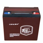 Hot Selling 6-DZF-20 AGM Electric scooter battery, 12V48V20AH Lead Acid Battery