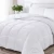 Import Hot Selling Home Hotel Microfiber Polyester Quilts Duvets Comforters from China