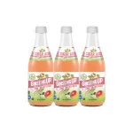 Hot Selling  Natural Low Cal Beverage with Monk Fruit Low Calorie Pink Grape Fruit