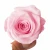 Import Hot selling Preserved Real Eternity Roses Head For DIY Forever Flower Box from China