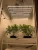 Import ILLUMAN foldable 8 bars led grow light 640w lm301b vertical farming lighting for indoor green house from China