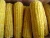 Import IQF frozen chinese yellow corn sweet corn on cob from China
