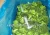 Import iqf frozen vegetable broccoli cut florets supplier from China