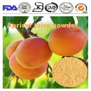 ISO 13 years factory supply Fresh Apricot powder