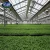 Import Large size and single-span multi span agricultural greenhouses type film greenhouse to be adjusted from China