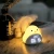 Import Led Night Light Cute Bird Kid Digital Table Alarm Clock With Light For Bedroom from China