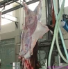 Livestock Cattle Processing Machine Skin Remove For Cow Equipment
