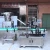 Import Low Price plastic bottle twist off capping machine from China
